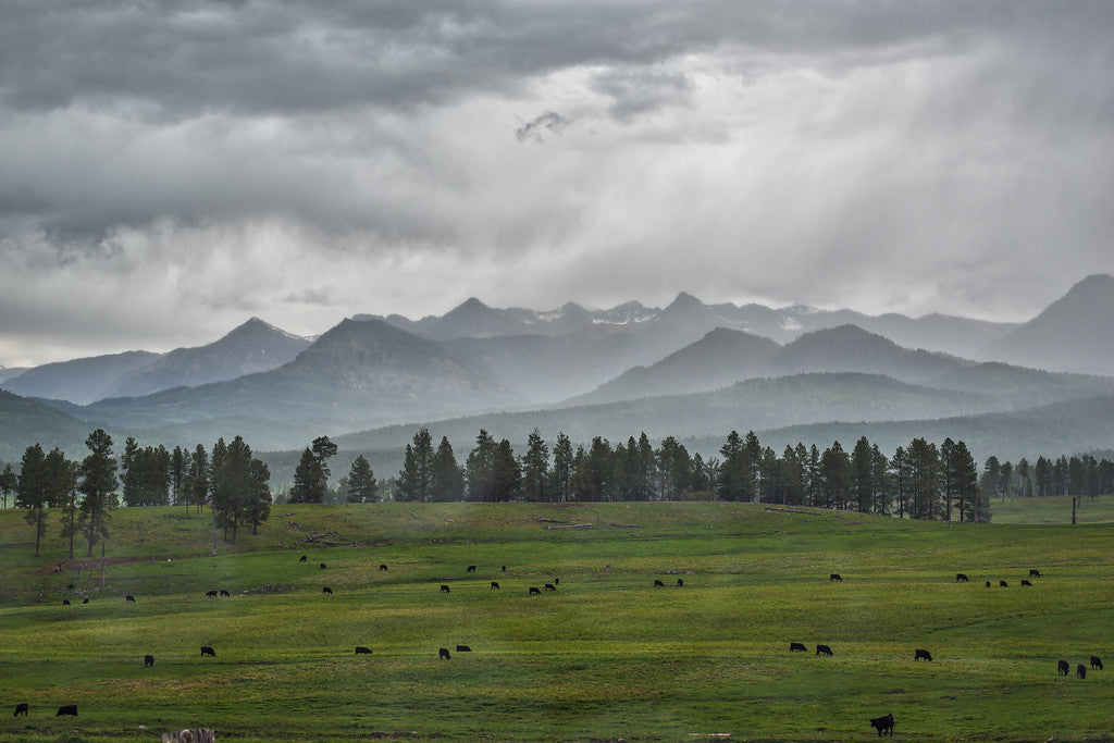 VOORMI® COMPLETELY REDEFINES WOOL: AND RECOGNIZED FOR DOING IT BY TOPLINE MAGAZINE