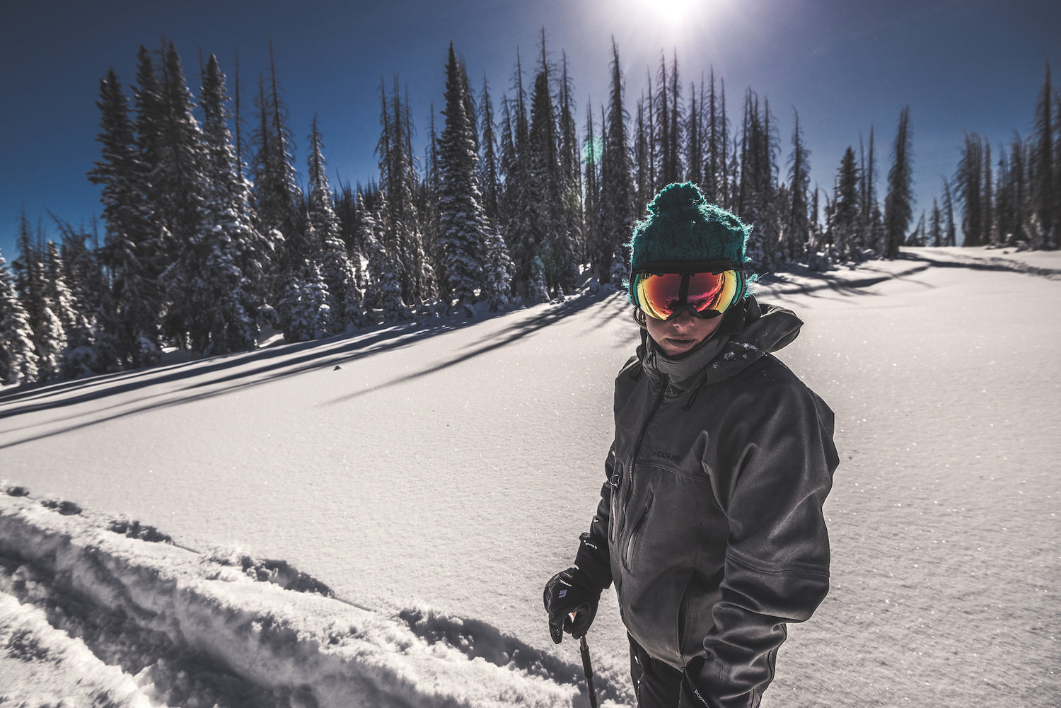 5 of the Best Snowshoeing Trails in Colorado You Have to Explore