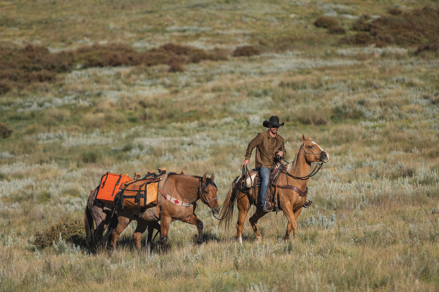 Burro Creek Jacket